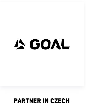 goal